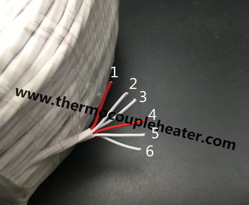 PT100 6-καλώδιο καλωδίων Ε&ΤΑ με την τεφλόν μόνωση